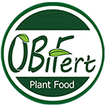 Obifert